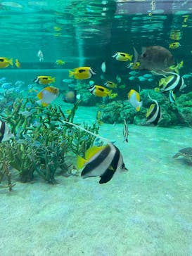 鴨川シーワールドに投稿された画像（2023/1/4）