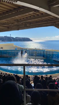 新江ノ島水族館に投稿された画像（2023/1/4）