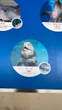 新江ノ島水族館に投稿された画像（2023/1/4）