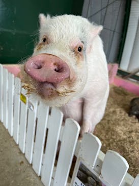 ワールド牧場に投稿された画像（2023/1/4）