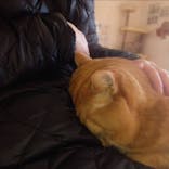 つくばわんわんランドに投稿された画像（2023/1/4）