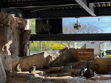 京都水族館に投稿された画像（2023/1/4）