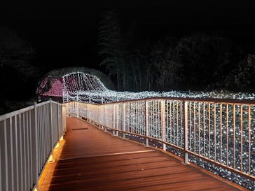 NESTA RESORT KOBE（ネスタリゾート神戸）に投稿された画像（2023/1/4）