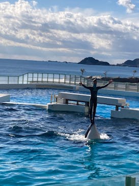 鴨川シーワールドに投稿された画像（2023/1/4）