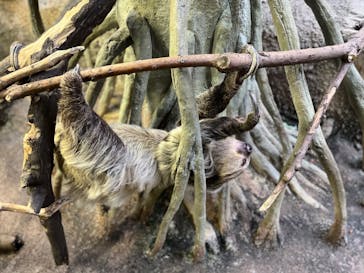 那須どうぶつ王国に投稿された画像（2023/1/4）