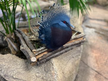 那須どうぶつ王国に投稿された画像（2023/1/4）