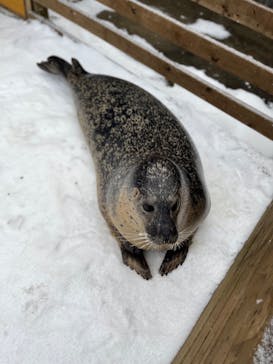 那須どうぶつ王国に投稿された画像（2023/1/4）