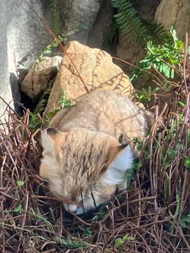 神戸どうぶつ王国に投稿された画像（2023/1/4）