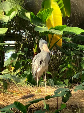 神戸どうぶつ王国に投稿された画像（2023/1/4）