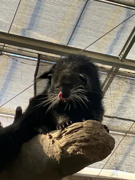 神戸どうぶつ王国に投稿された画像（2023/1/4）