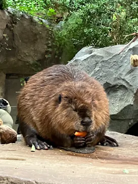 神戸どうぶつ王国に投稿された画像（2023/1/4）