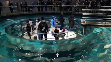 城崎マリンワールドに投稿された画像（2023/1/4）