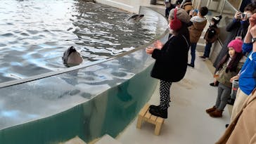 城崎マリンワールドに投稿された画像（2023/1/4）