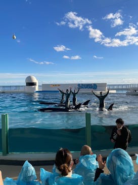 鴨川シーワールドに投稿された画像（2023/1/4）