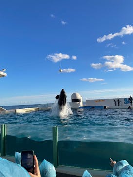 鴨川シーワールドに投稿された画像（2023/1/4）