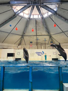 登別マリンパークニクスに投稿された画像（2023/1/4）