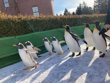 登別マリンパークニクスに投稿された画像（2023/1/4）