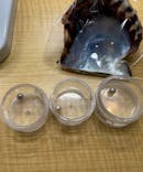 三重県真珠に投稿された画像（2023/1/4）