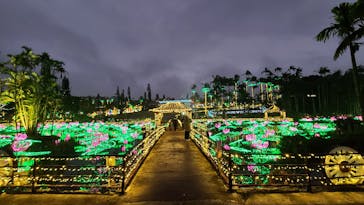 美らヤシパークオキナワ・東南植物楽園に投稿された画像（2023/1/4）