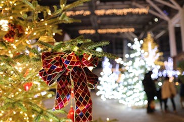 安城産業文化公園デンパークに投稿された画像（2023/1/4）