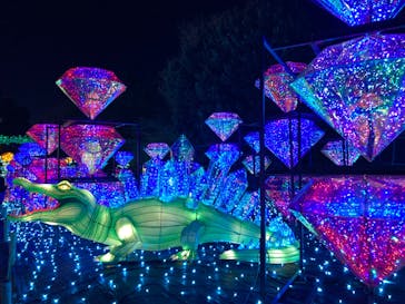 伊豆ぐらんぱる公園に投稿された画像（2023/1/4）