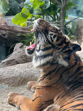 神戸どうぶつ王国に投稿された画像（2023/1/4）