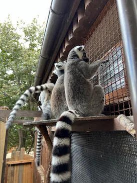 神戸どうぶつ王国に投稿された画像（2023/1/4）