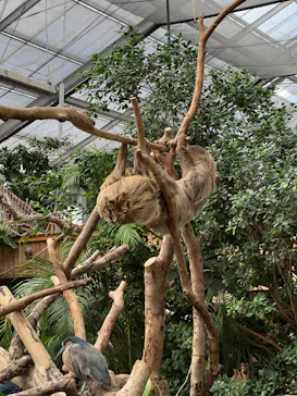 神戸どうぶつ王国に投稿された画像（2023/1/4）