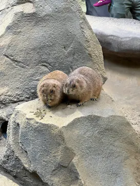 神戸どうぶつ王国に投稿された画像（2023/1/4）