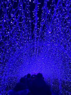 江の島シーキャンドルに投稿された画像（2023/1/4）