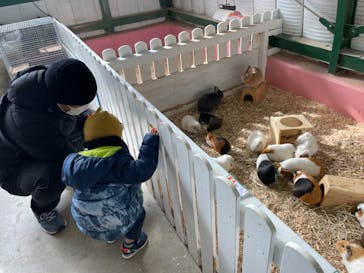 ワールド牧場に投稿された画像（2023/1/4）