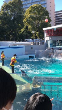 しながわ水族館に投稿された画像（2023/1/4）