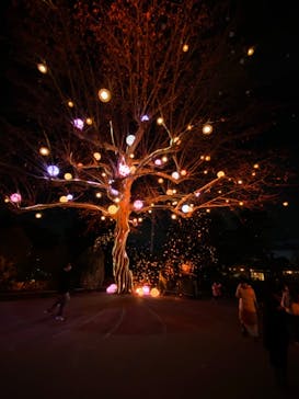 西武園ゆうえんちに投稿された画像（2023/1/4）