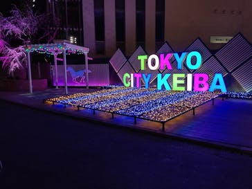 東京メガイルミに投稿された画像（2023/1/4）