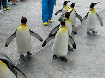 島根県立 しまね海洋館に投稿された画像（2023/1/4）