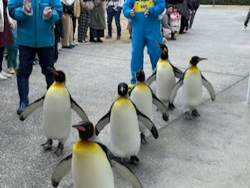 島根県立 しまね海洋館に投稿された画像（2023/1/4）