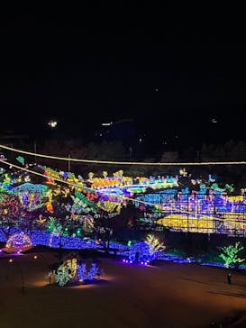 伊豆ぐらんぱる公園に投稿された画像（2023/1/4）