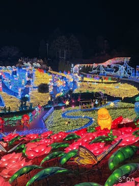 伊豆ぐらんぱる公園に投稿された画像（2023/1/4）