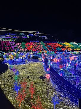 伊豆ぐらんぱる公園に投稿された画像（2023/1/4）