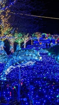 伊豆ぐらんぱる公園に投稿された画像（2023/1/4）