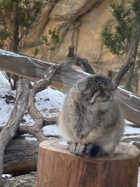 那須どうぶつ王国に投稿された画像（2023/1/4）