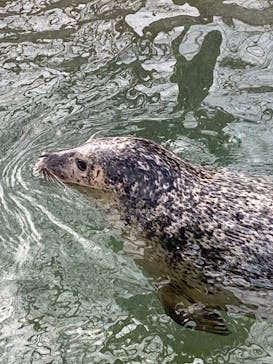 那須どうぶつ王国に投稿された画像（2023/1/4）