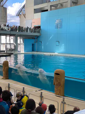 横浜・八景島シーパラダイスに投稿された画像（2023/1/4）