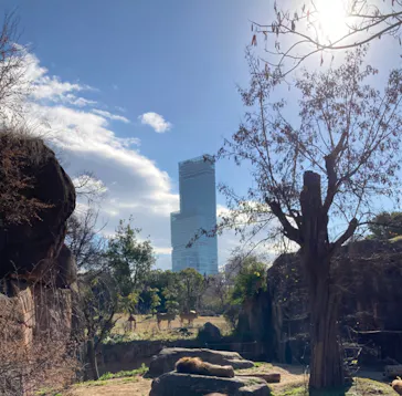 天王寺動物園に投稿された画像（2023/1/4）