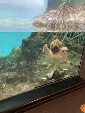 天王寺動物園に投稿された画像（2023/1/4）