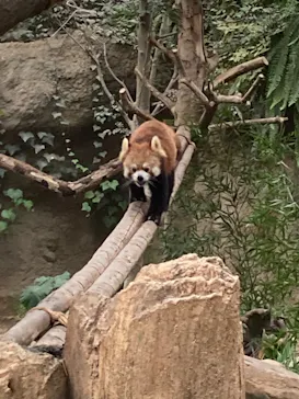 神戸どうぶつ王国に投稿された画像（2023/1/4）