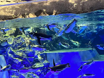 すみだ水族館に投稿された画像（2023/1/4）