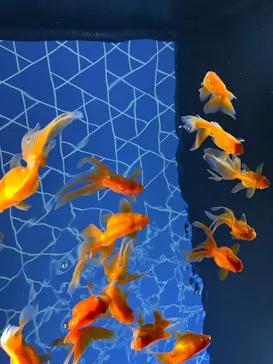 すみだ水族館に投稿された画像（2023/1/4）