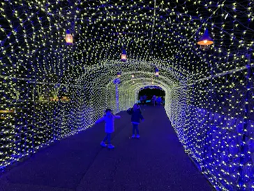 ひらかたパークに投稿された画像（2023/1/4）