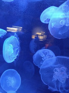 株式会社Gに投稿された画像（2023/1/4）